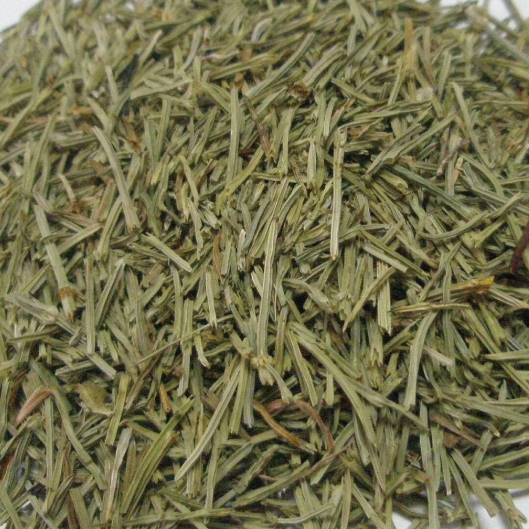 Tisane　ホーステール　１０ｇ