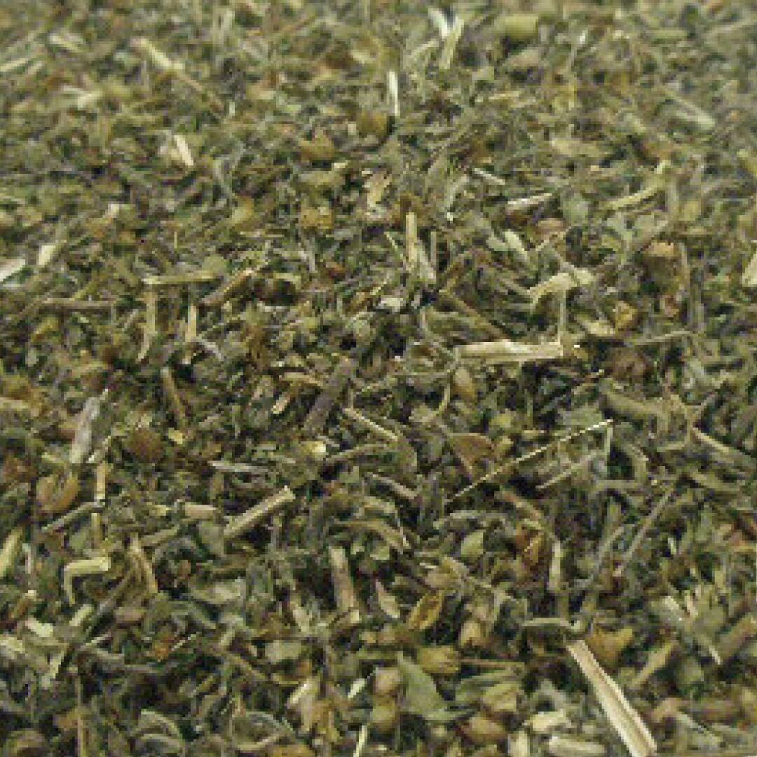 Tisane　ホーリーバジル　１０ｇ