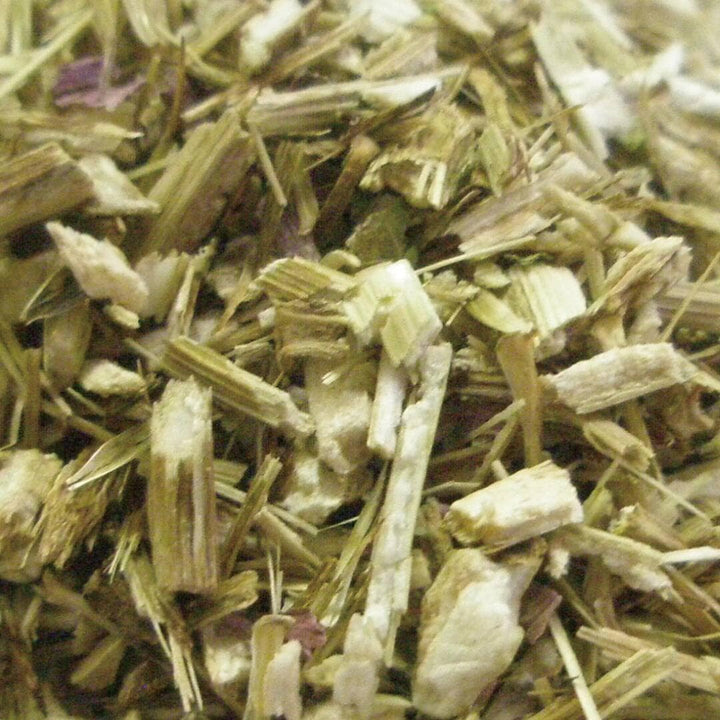 Tisane　エキナセア １０ｇ