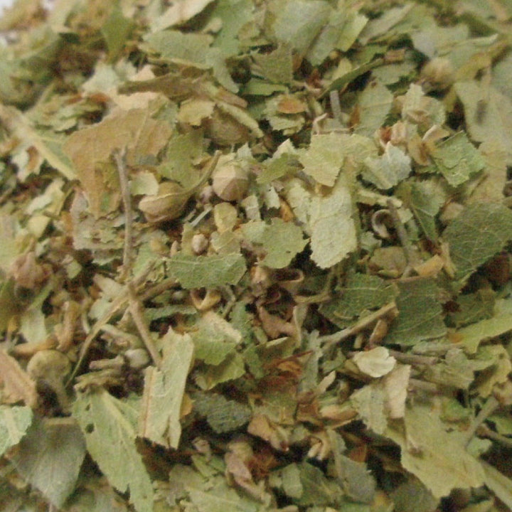 Tisane　リンデン　１０ｇ
